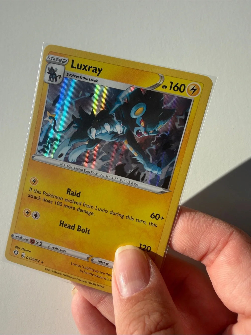Shinx Luxio Luxray Evolution Lot 7 Cards Reverse Holo | ✨5/$25✨